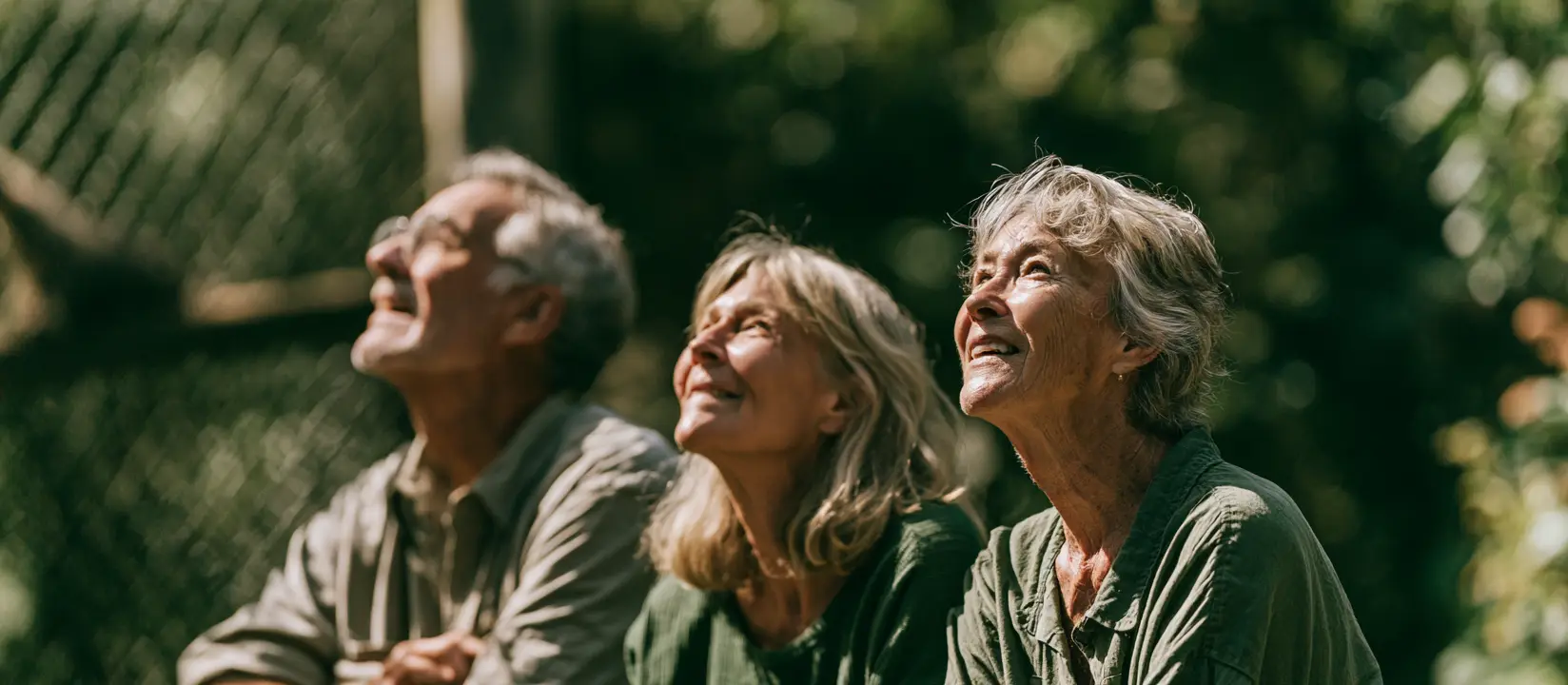 Trois visiteurs seniors, souriants, lèvent les yeux vers la cime des arbres le long d’un enclos du Parc Animalier d’Auvergne.